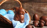 Chocolats de Pâques Très chers lapins