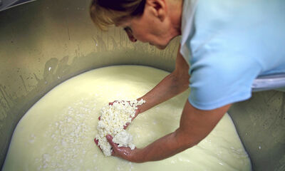 Fromages au lait cru Entre risques et bénéfices Fromages au lait cru Entre risques et bénéfices