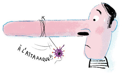 Le nez Un rempart fragile contre les infections Le nez Un rempart fragile contre les infections